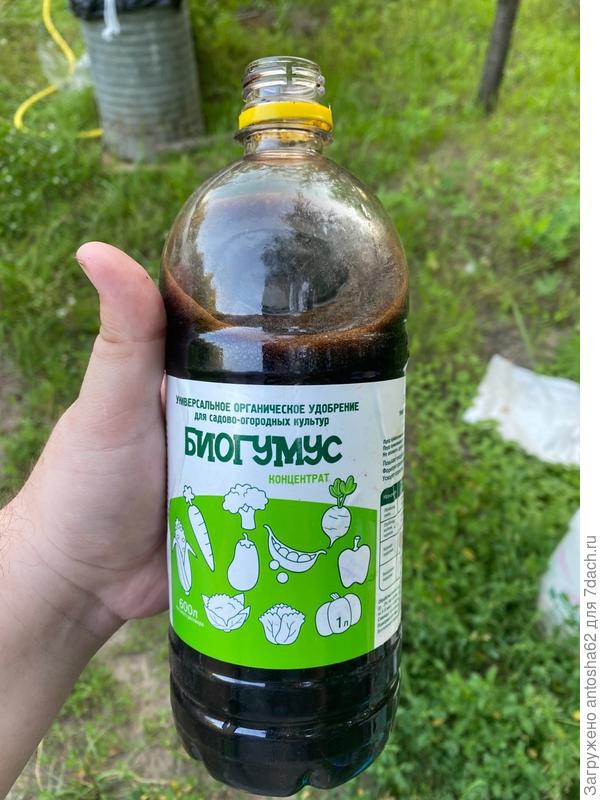 Применяем биогумус