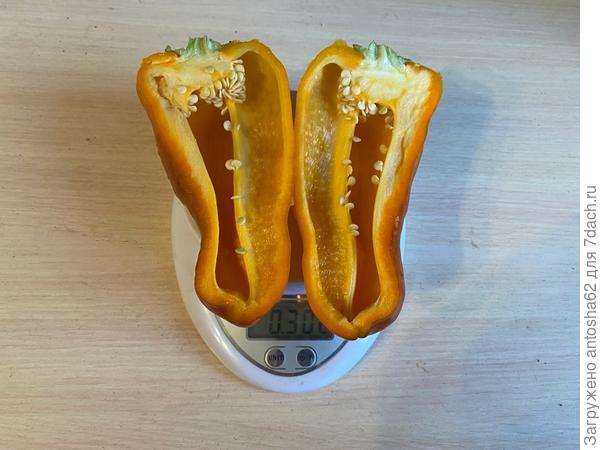 Фото в разрезе