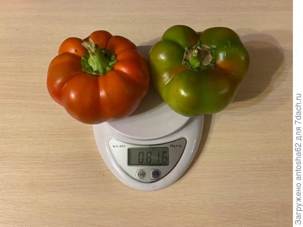 Взвешивание часть 2