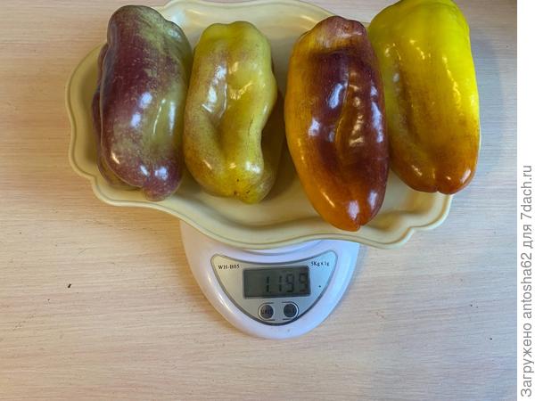 Вторая волна взвешивания, масса: