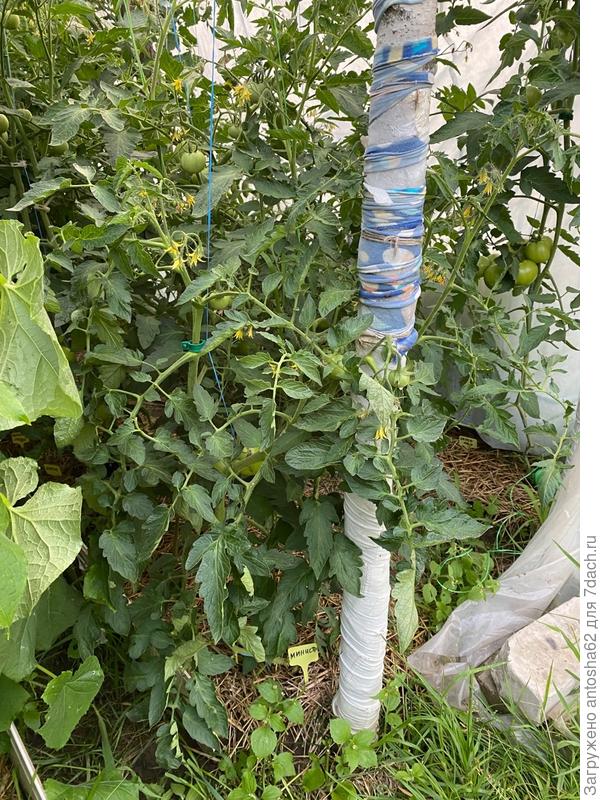 По состоянию на 13 июля