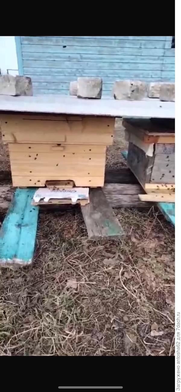 Конец апреля