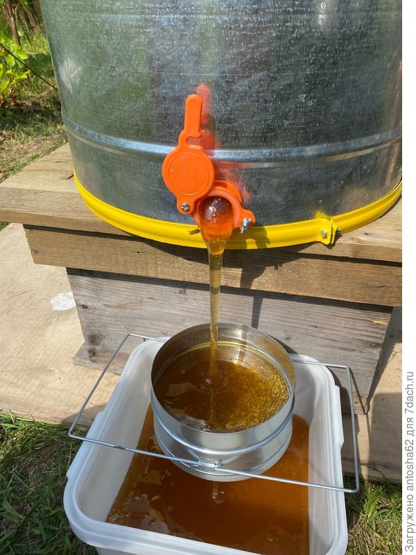 Получаем мед