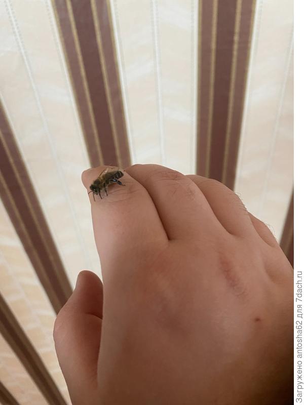 Активизировались