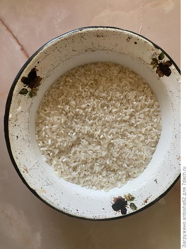 Промытый рис