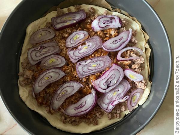 Укладываем лук, нарезанный кольцами