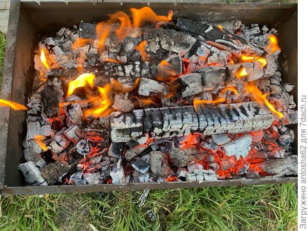 Курицу готовим на решетке