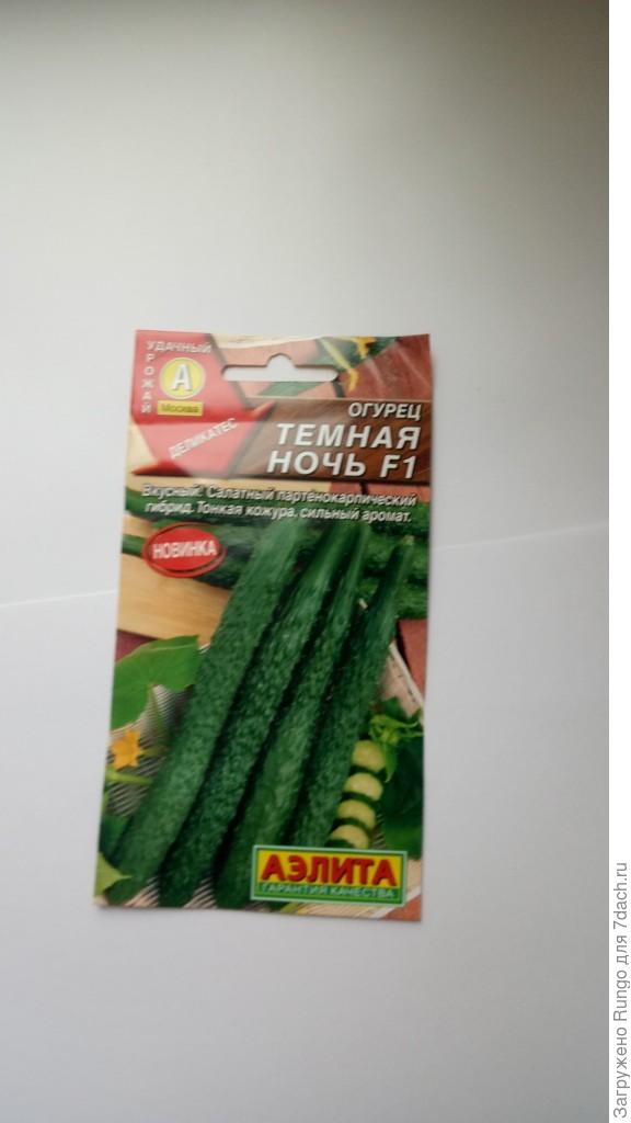 Темная ночь F1