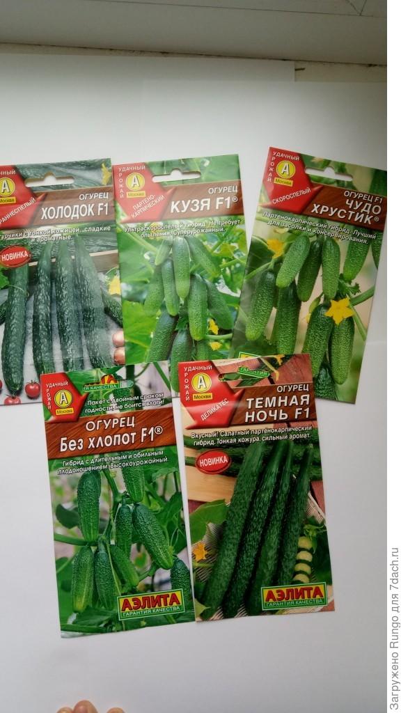 Семена Огурцов