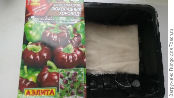 замоченные семена