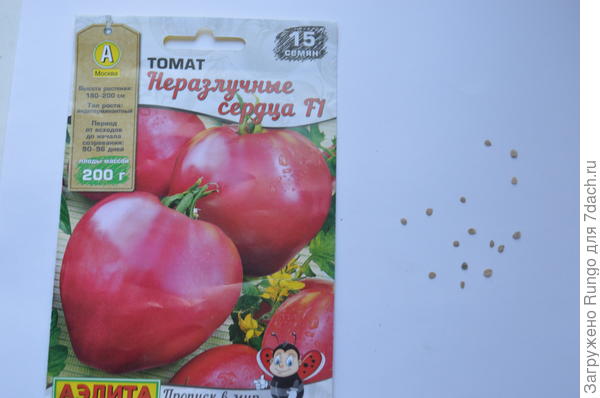 семена в упаковке