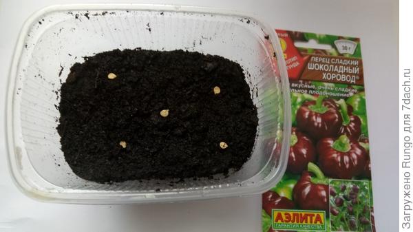 посадка семян