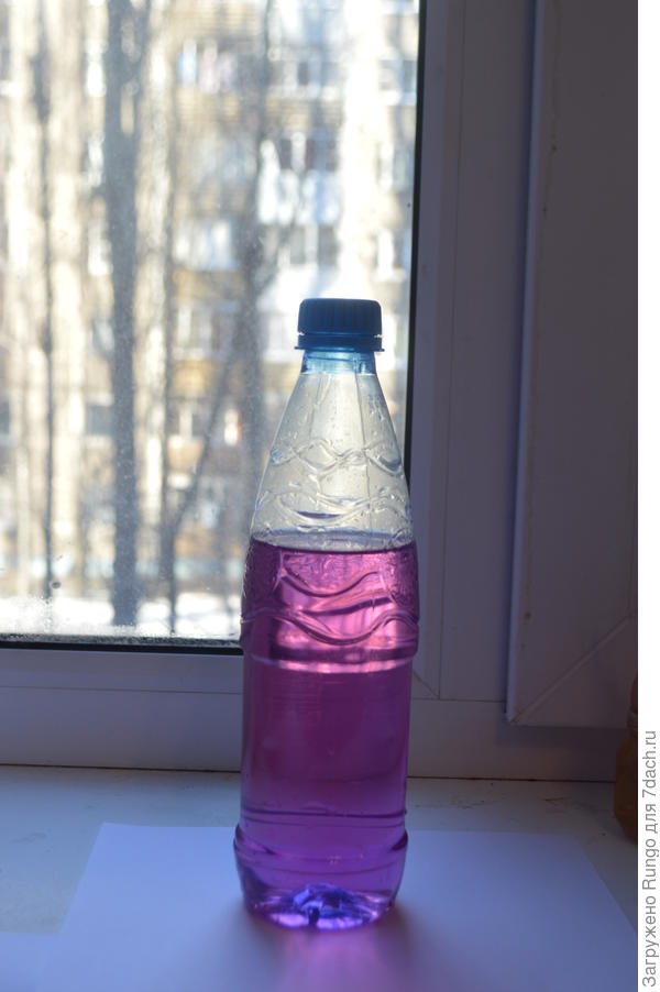 слабый раствор марганцовки