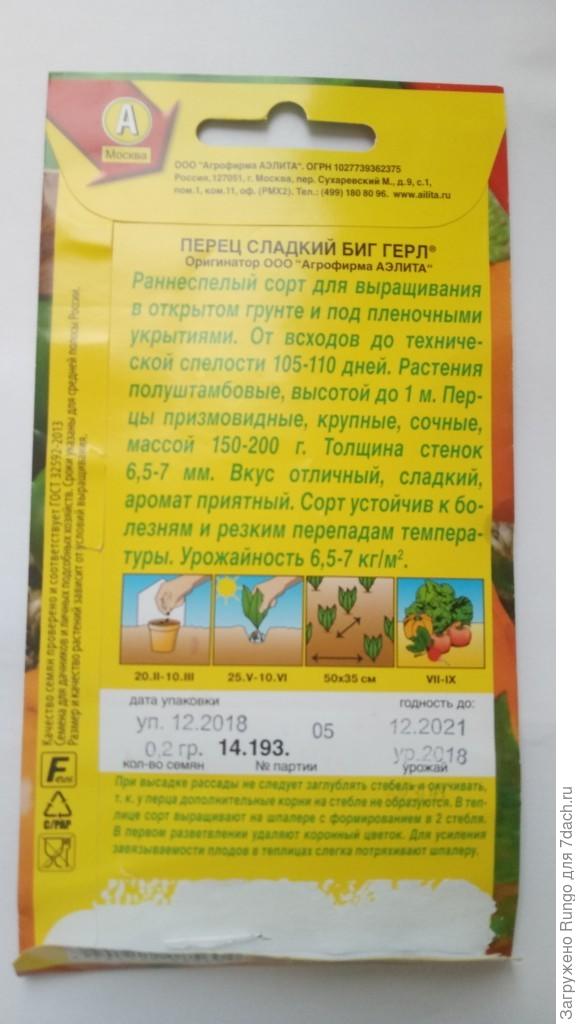 сладкий перец Биг Герл