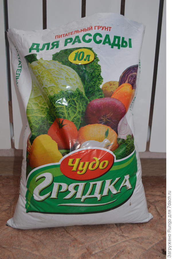 грунт