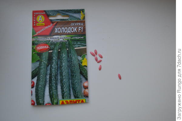 семена