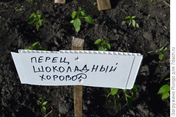 маркировка