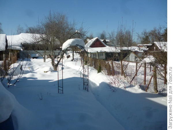 20 марта 2018 г. Подмосковье, Балашиха