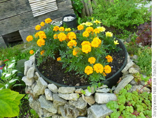 Шины от колес тоже использую, но стараюсь задекорировать их &quot;резиновую&quot; сущность.