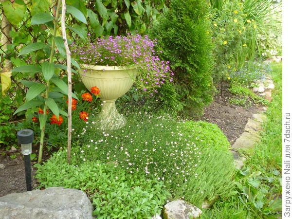 Единственные пластмассовые &quot;представители&quot; в моем саду - вазоны. Но тут уж никуда не деться, каменные слишком дороги.