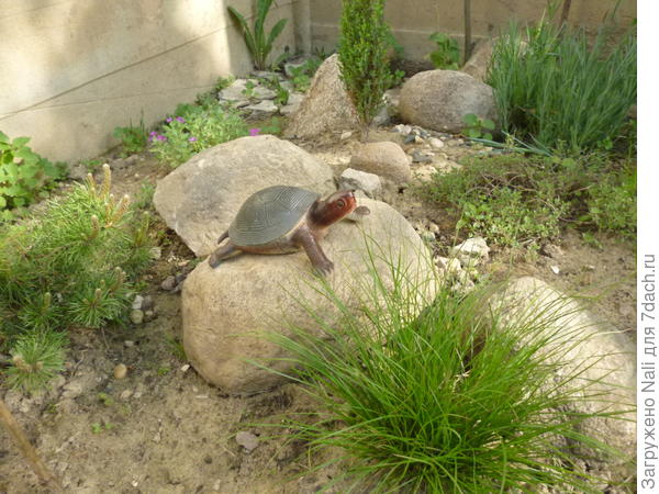 Альпийская горка.