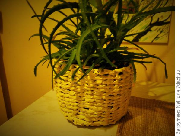 Кашпо из бумаги. Внутри - горшок с поддоном.