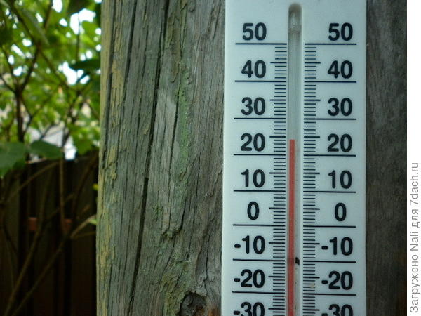 Градусов на 5 снизилась.