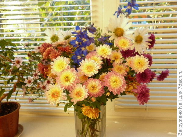 С днем рождения!