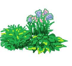 схема цветника