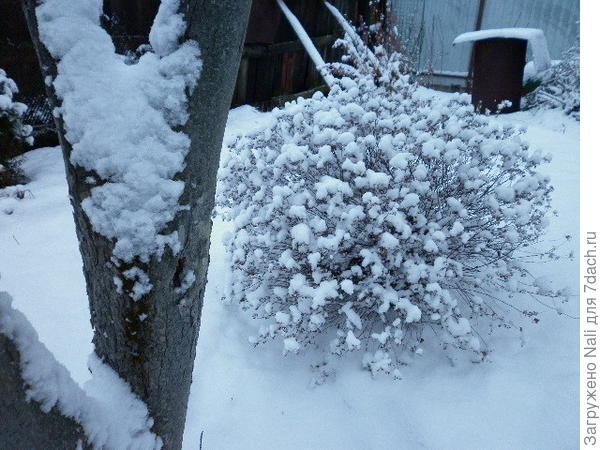 зима пришла