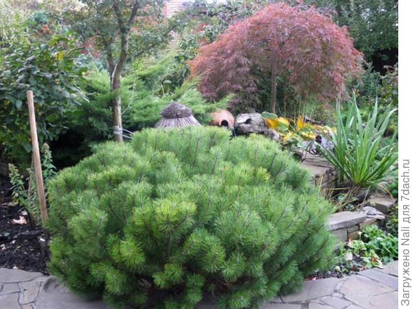 Это фото из интернета