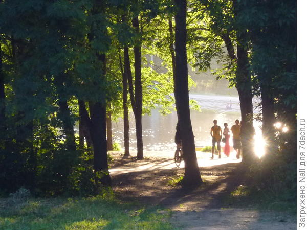 Озеро в парке