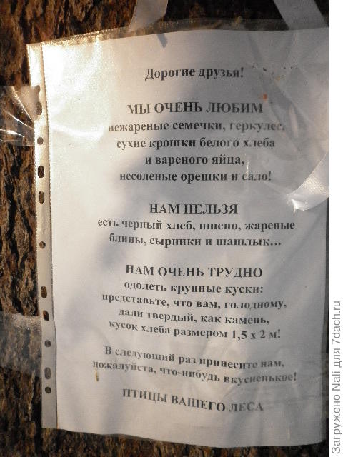 Такие листочки висят возле кормушек в нескольких местах.