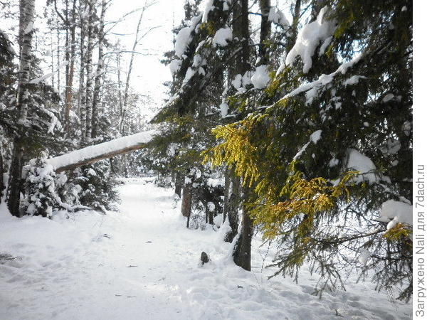 Пейзаж пока черно-белый, и вдруг за поворотом...