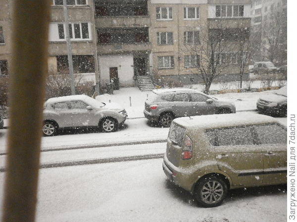 Такая погода была с утра