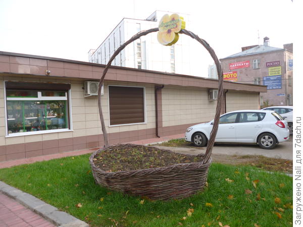 Городской цветник в виде корзины