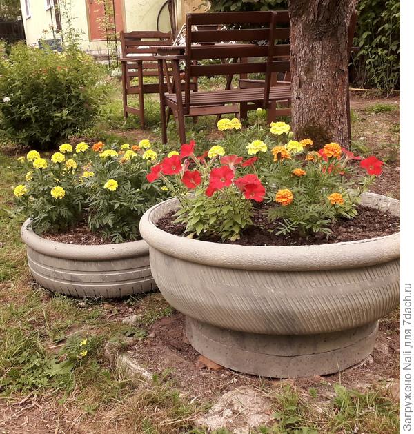 Вазоны разные по высоте.