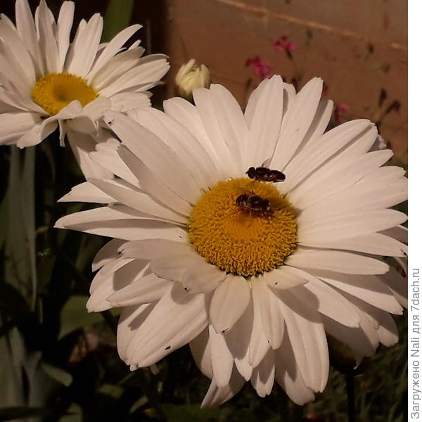 фото 3