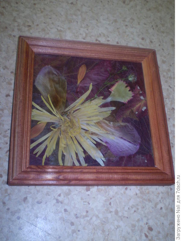 композиции с засушенными цветами