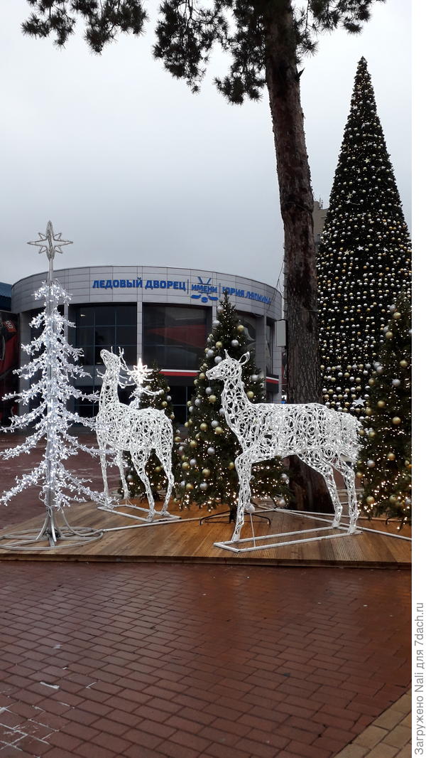 А это у нас в центре города на площади