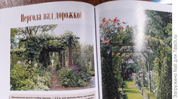 глава книги