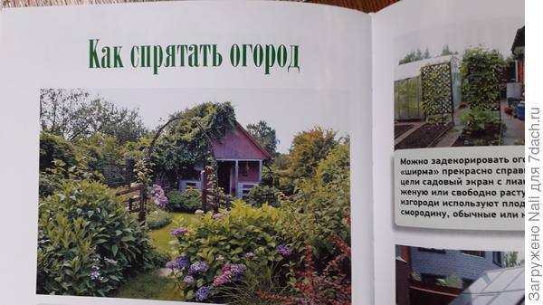 глава книги