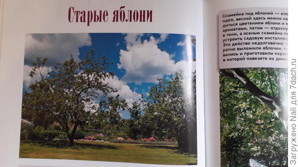 глава книги