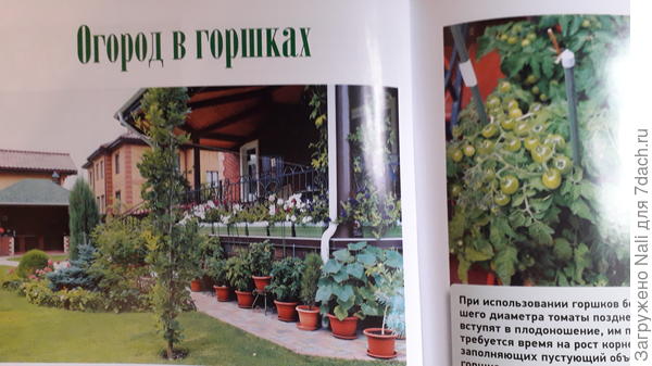 глава книги
