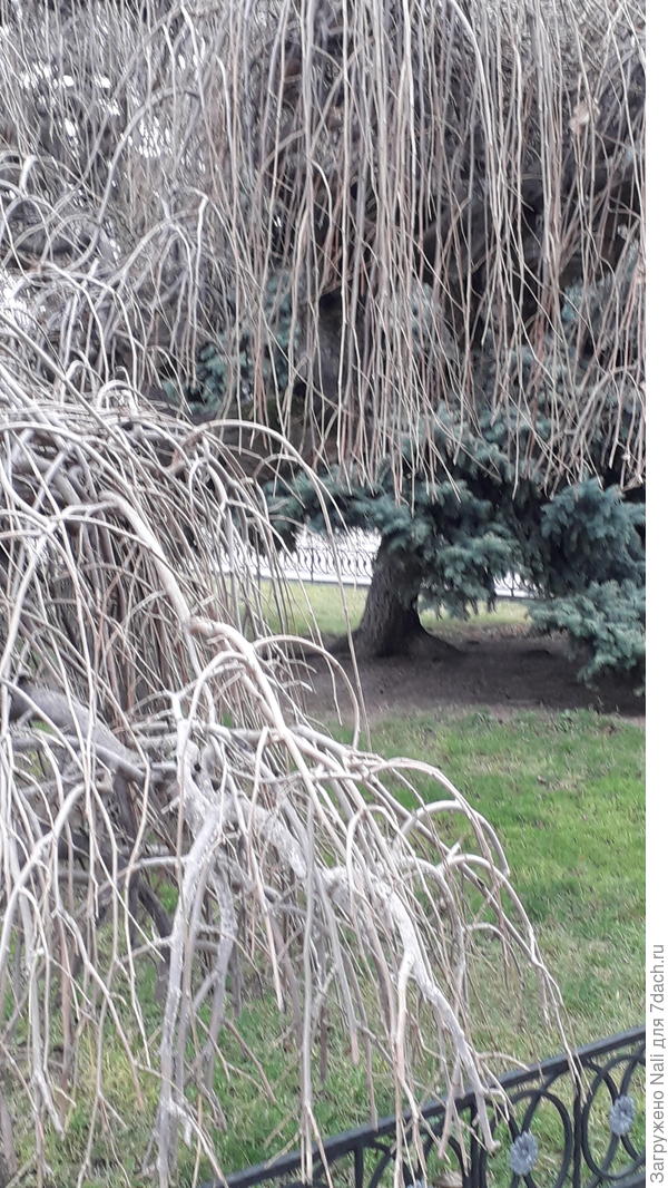 Поразила красота парков, скверов и улочек в Севастополе