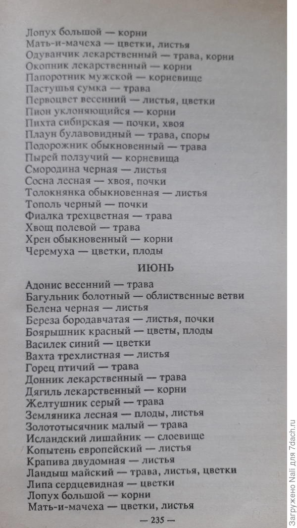календарь сбора растений