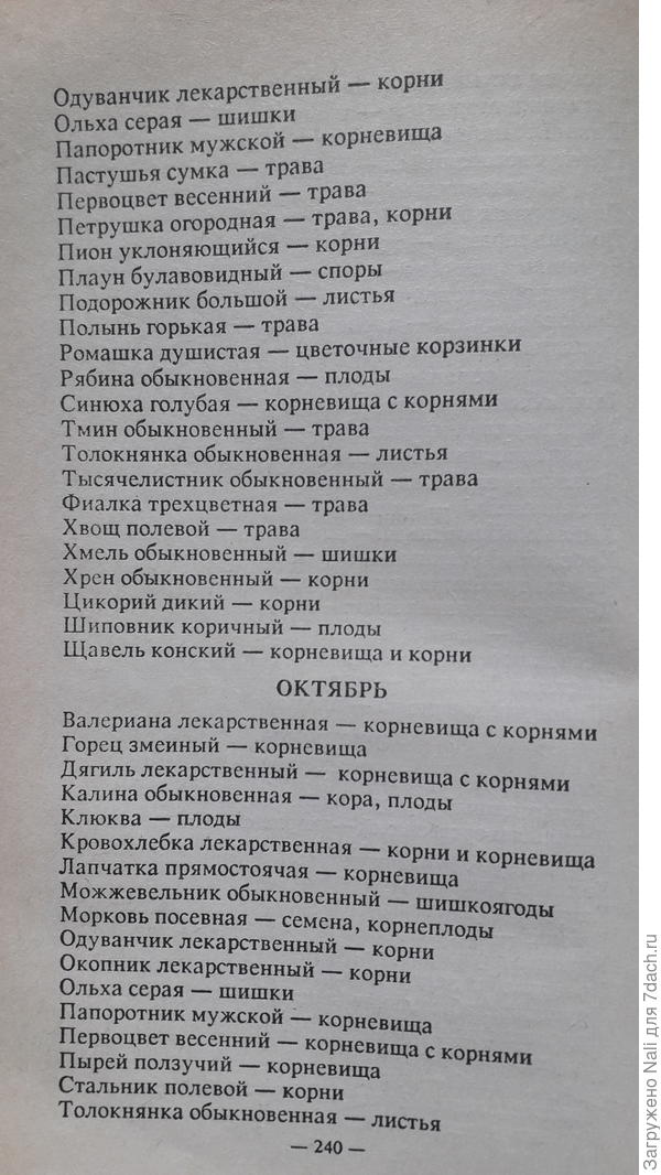 календарь сбора растений