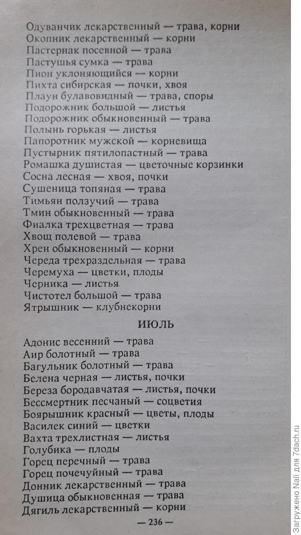 Народный календарь. Почему стоит собирать лекарственные травы на Симонов день, 23 мая