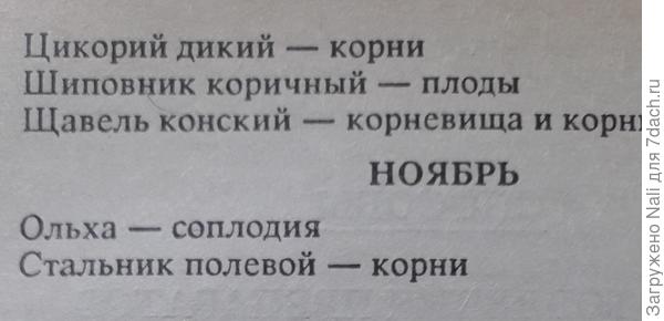 календарь сбора растений