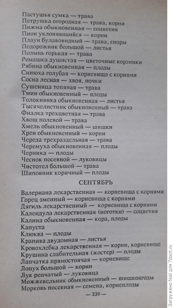 календарь сбора растений